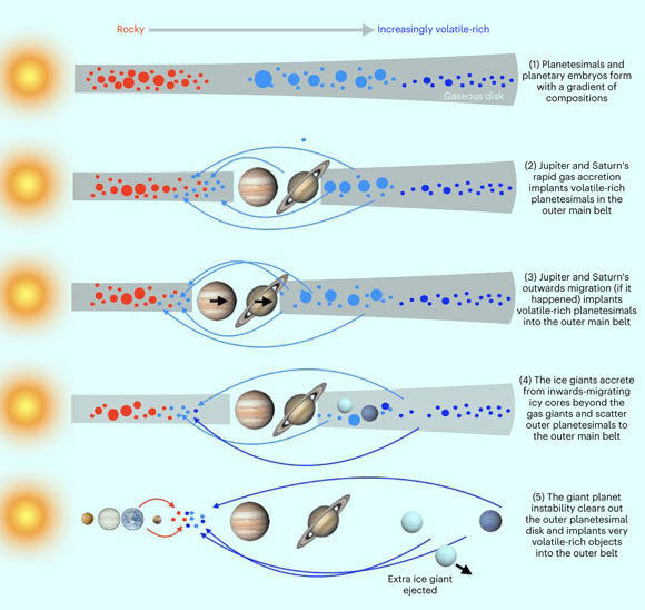 Implantation of planetesimals into the asteroid belt during the planets’ growth and dynamical evolution. The disk’s temperature profile established a gradient in the composition of small bodies during planetesimal formation. The presence of ammoniated phyllosilicates indicates that Ceres (and presumably also the large dark planetesimals) probably originated beyond Saturn’s orbit and perhaps much farther out. Planetesimals from the Jupiter-Saturn region were implanted during the gas giants’ rapid gas accretion. The migration of the gas and ice giants caused the source region of implanted planetesimals to expand outwards. The ice giants’ growth implanted additional planetesimals. The giant planets’ instability then implanted some asteroids from the outer planetesimal disk -- this is the likely source of the large dark asteroids. The instability may have been triggered by the dispersal of the gaseous disk, such that these implantation mechanisms were separated in time by only a few to ten million years. Many volatile-poor asteroids were probably implanted from the terrestrial planet-forming region. Image credit: Takir et al., doi: 10.1038/s41550-023-01898-x.