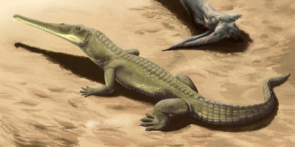 Life reconstruction of a phytosaur species called Protome batalaria. Image credit: Smokeybjb / CC BY-SA 3.0.