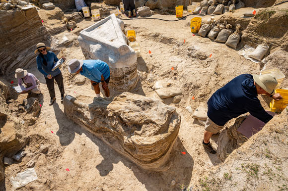 The adult gomphothere skull (foreground, tusk capped in white plaster) was separated from the main body (background, covered in plaster) prior to its preservation. Image credit: Kristen Grace / Florida Museum of Natural History.