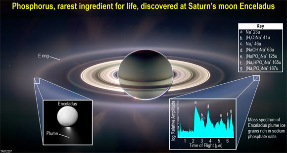 Liquid water erupts from Enceladus’ subsurface ocean, forming a plume that contains grains of frozen ocean water. Some of these ice grains go on to form Saturn’s E ring. Image credit: SwRI / Freie Universität Berlin.