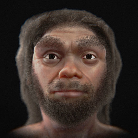 Frontal view of the portrait of Homo longi. Image credit: Cicero Moraes, doi: 10.6084/m9.figshare.24648591.