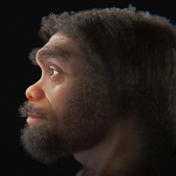 Lateral view of the portrait of Homo longi. Image credit: Cicero Moraes, doi: 10.6084/m9.figshare.24648591.