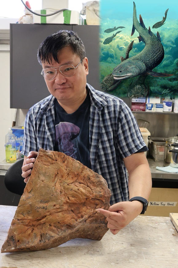 Dr. Choo with the Harajicadectes zhumini fossil. Image credit: Flinders University.