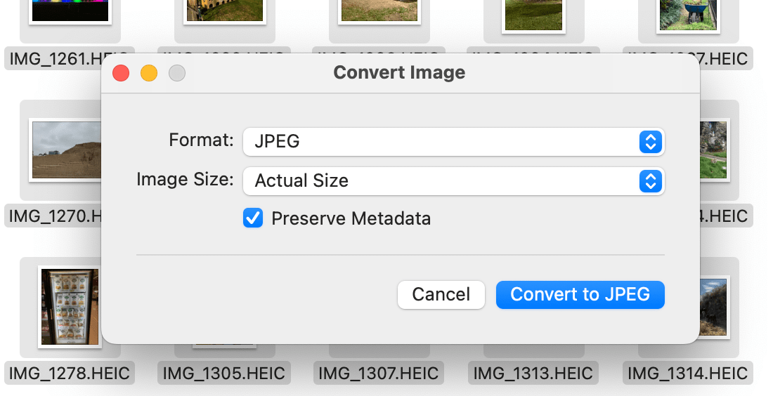 screenshot of convert image options for sizes