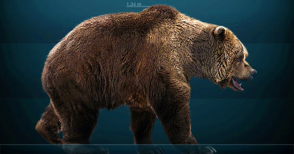 Reconstruction of the cave bear (Ursus spelaeus). Image credit: Sergio de la Larosa / CC BY-SA 3.0.