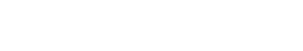 Health Data Analytics Institute