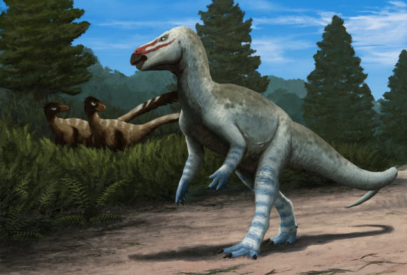 Life restoration of Obelignathus septimanicus in the Late Cretaceous environment recorded in the ‘Grès à Reptiles’ Formation, with a pair of dromaeosaurid dinosaurs in the background. Image credit: Edyta Felcyn-Kowalska.