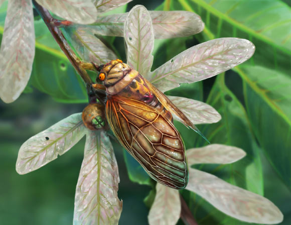 Life reconstruction of Eoplatypleura messelensis. Image credit: Dinghua Yang.