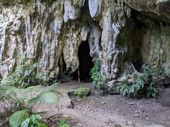 Ritidian Beach Cave, Guam. Image credit: Hsiao-chun Hung.